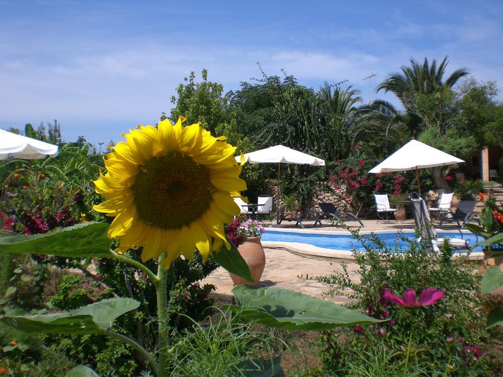 Agroturismo Na Set Centes - Adults Only Арта Экстерьер фото